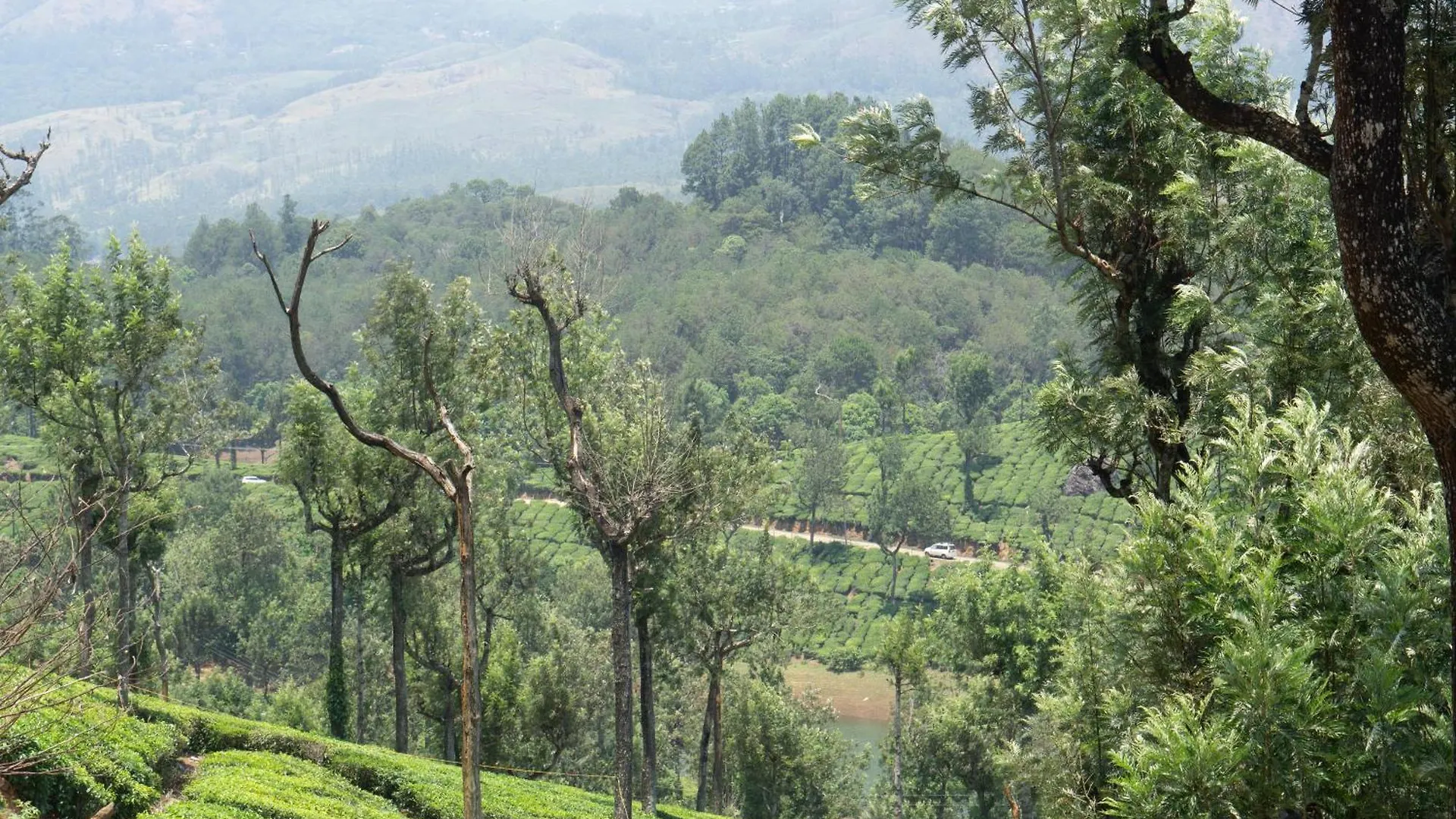 Harsham Homestay Pooppara Villa