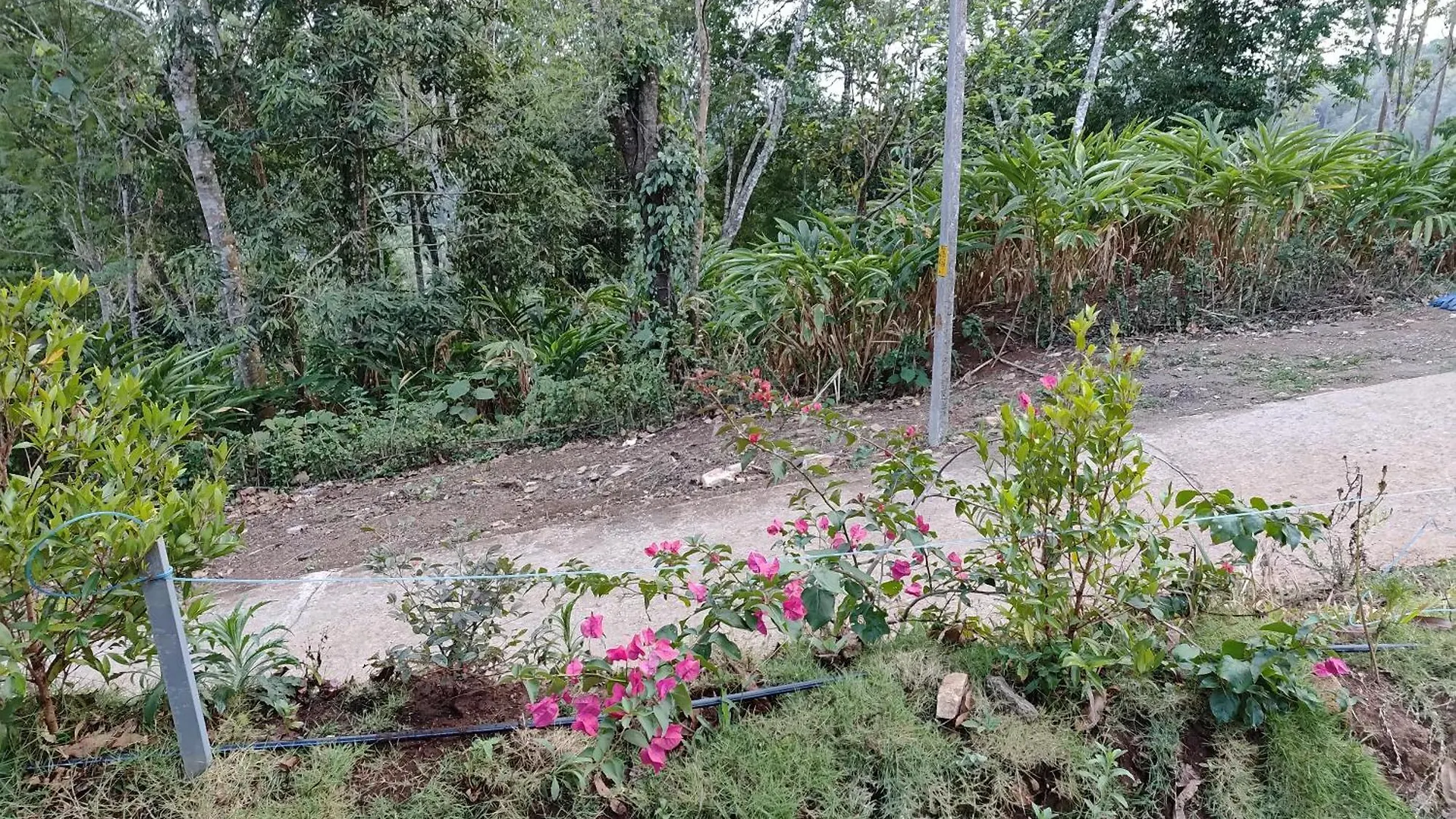 Villa Harsham Homestay Pooppara